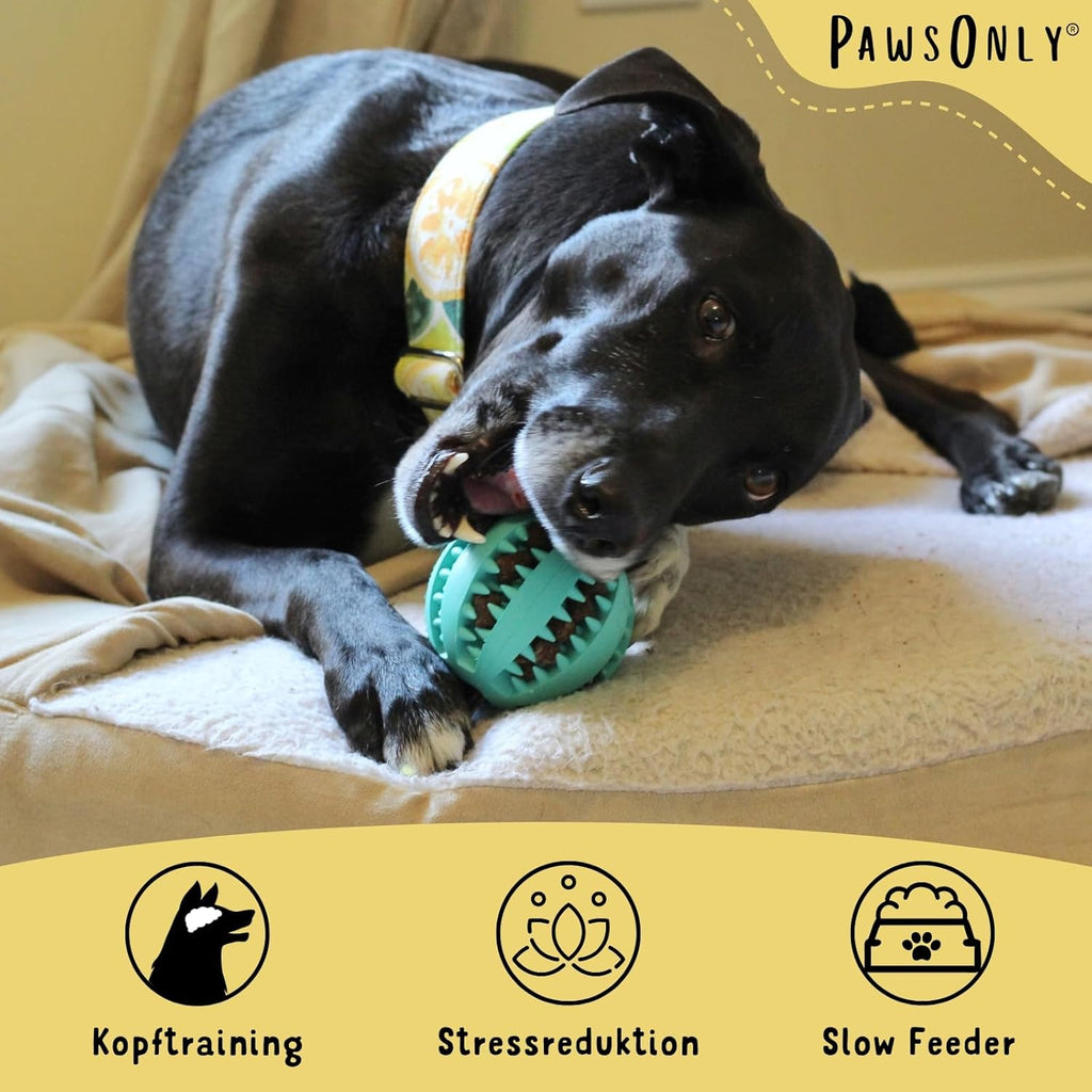Futterball für Hunde | Hundespielzeug Intelligenz | Leckerli Ball | Denkspiele | Snackball Naturkautschuk | Beschäftigung Hund | Zahnball