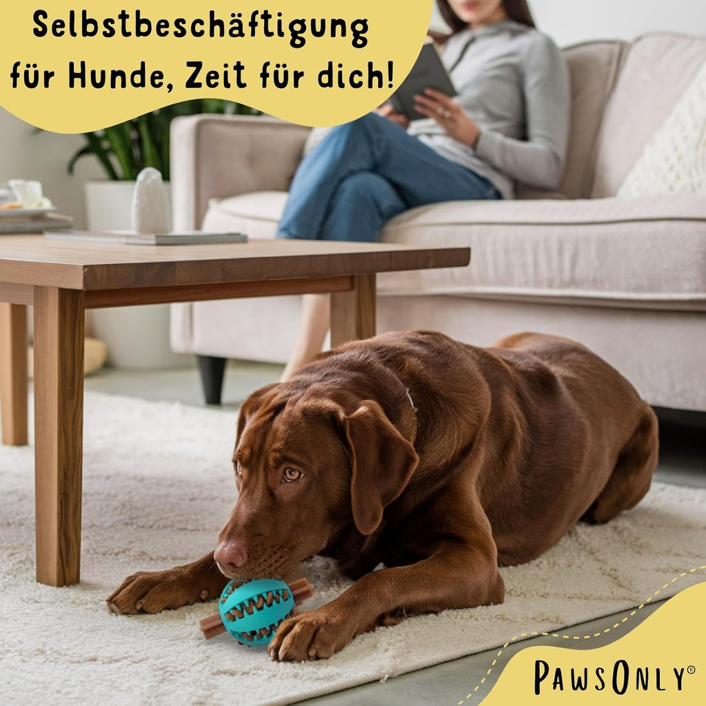 Futterball für Hunde | Hundespielzeug Intelligenz | Leckerli Ball | Denkspiele | Snackball Naturkautschuk | Beschäftigung Hund | Zahnball